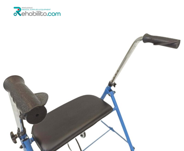 Indoor walking support Alex Vitea Care