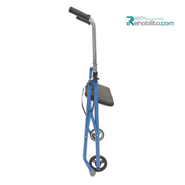Indoor walking support Alex Vitea Care