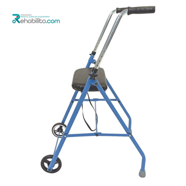Indoor walking support Alex Vitea Care