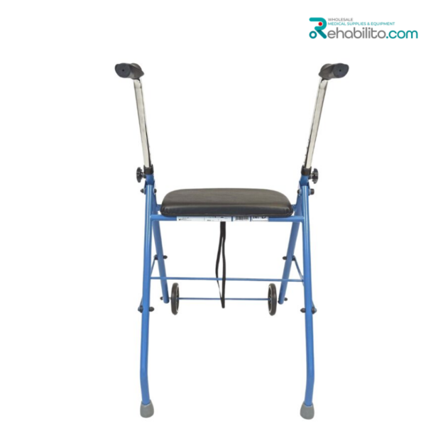 Indoor walking support Alex Vitea Care