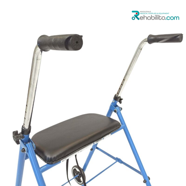 Indoor walking support Alex Vitea Care