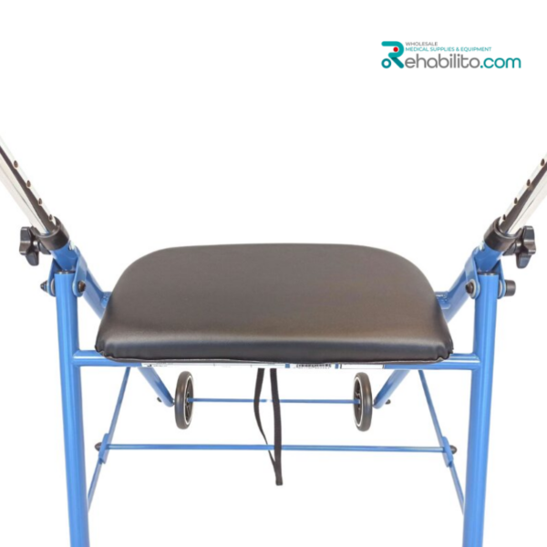 Indoor walking support Alex Vitea Care