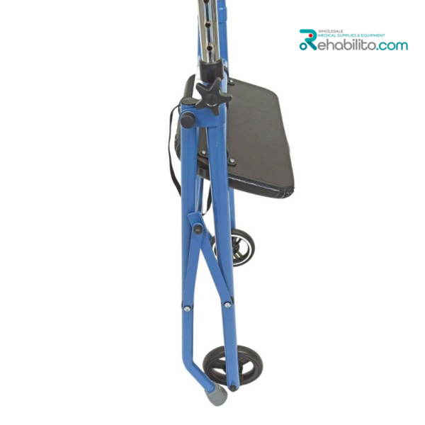 Indoor walking support Alex Vitea Care