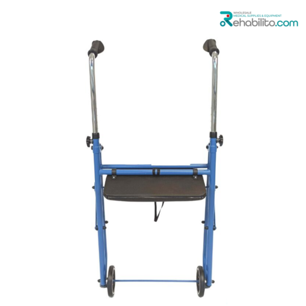 Indoor walking support Alex Vitea Care