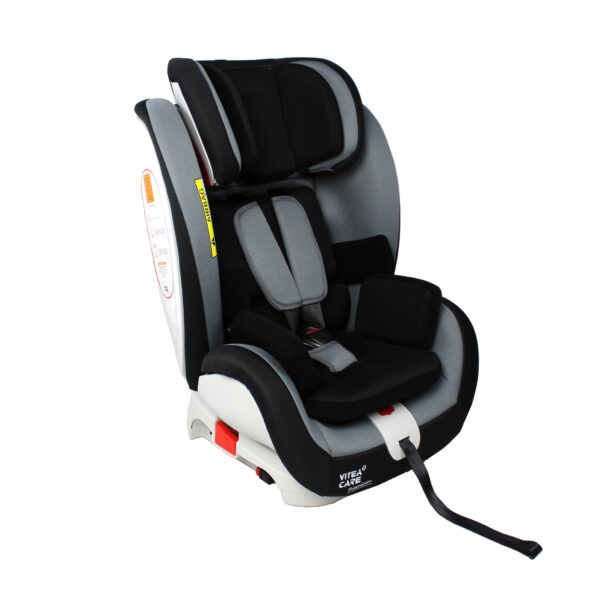 Rehabilitation car seat Fun Baby Vitea Care
