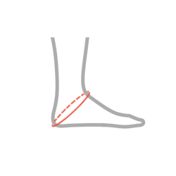 Heel measurement