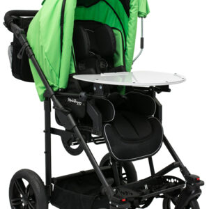 Modi Buggy
