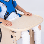 Tray