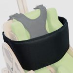 Trunk belt