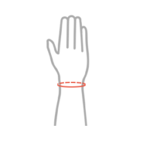 Wrist