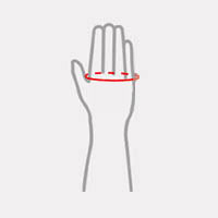 Metacarpus measurement