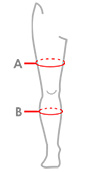 Thigh and calf measurement